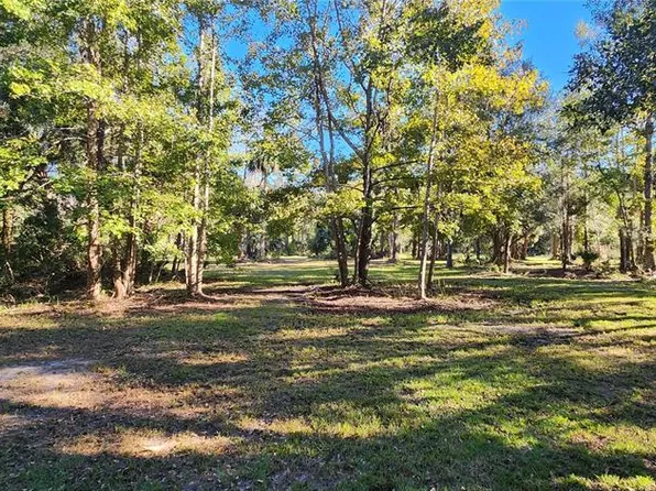 680 E BLACK POINT ROAD, BUNNELL, FL 32110