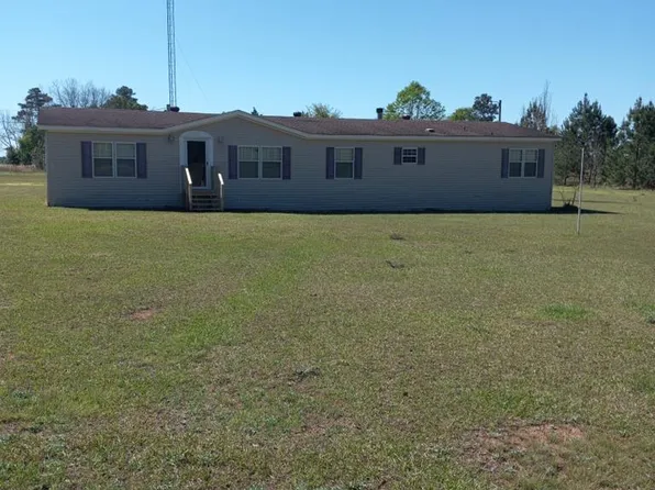 40 Rabbit Rd, Blakely, GA 39823