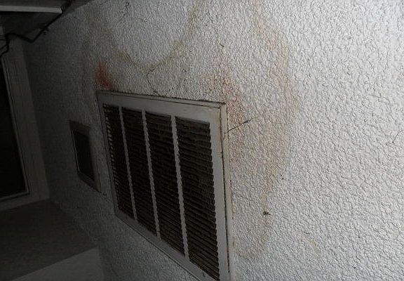 4th image of 4906 Walnut Ave