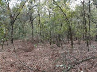 101st Pl, Mc Alpin, FL 32062