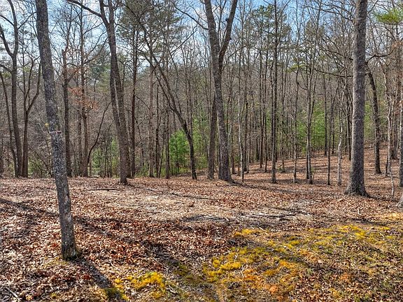 5th image of LOT 13 Ridge Rd