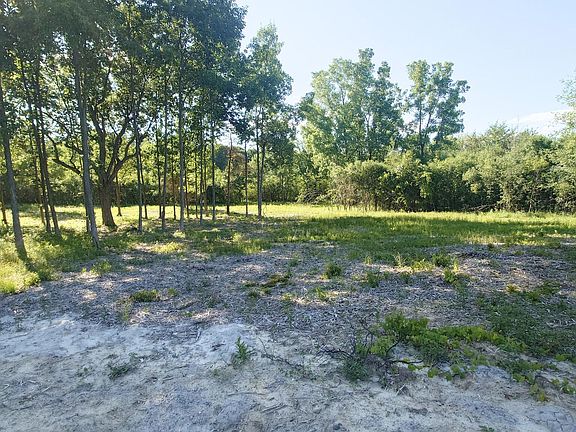 3rd image of 2897 Bateson Ct