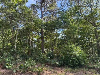 35 Sterling Road, Harwich, MA, 02645