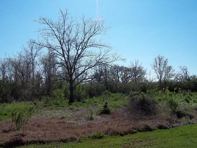 2nd image of 1627 Bayou Dularge Rd