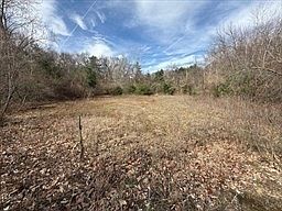 2nd image of 0 Pleasant St