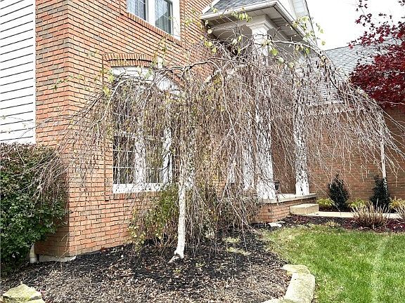 2nd image of 18583 Northrup Ln
