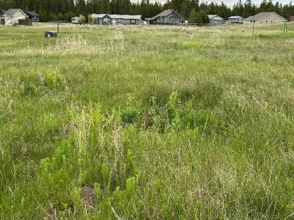 Tbd Buffalo Dr, West Yellowstone, MT 59758