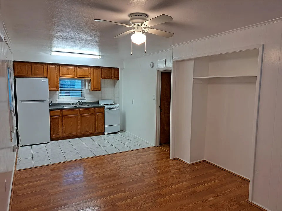 Living area and kitchen