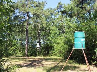 21154 Arnsworth Rd, Montgomery, TX 77356