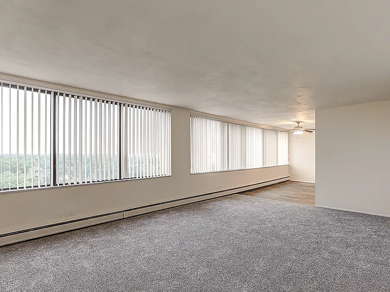 Abundance of Natural Light