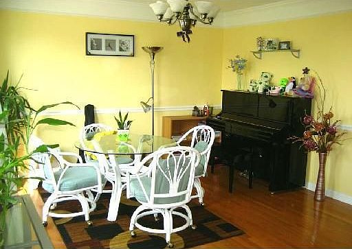 Dining Room (13x12) Family room (19'x18')-great space,beautiful gas fireplace 