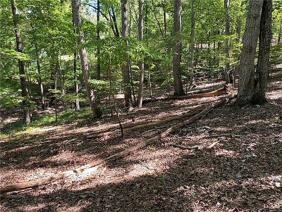 3rd image of 0 John Ingram Rd SE #82