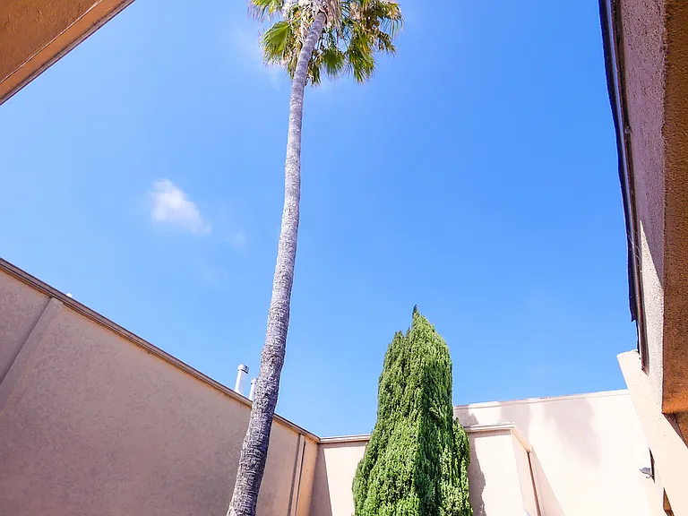 1957 Frank St / 2519 Virginia Ave — Photo 67