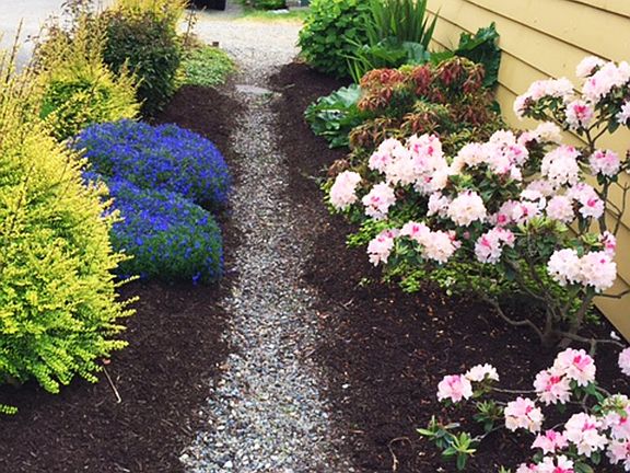 Front garden path