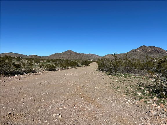 3rd image of 339-09-083 W Jurrasic Drive
