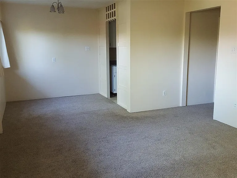 1145 Bay St #207 — Photo 3