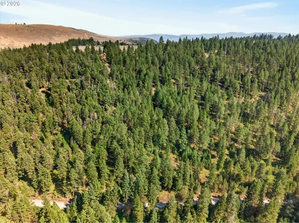 0 Washington Gulch Rd #3300, Baker City, OR 97814