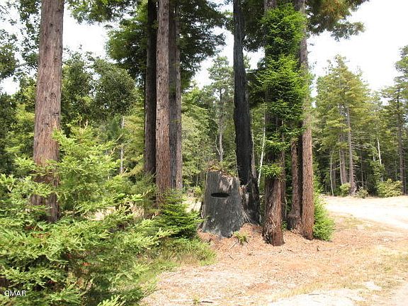 2nd image of 19671 Noyo Acres Dr