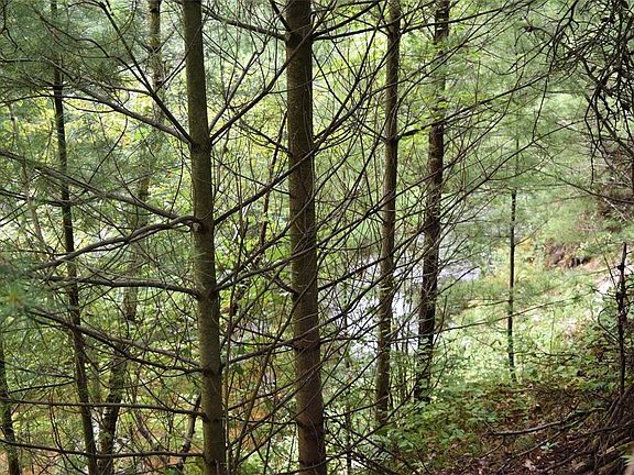 5th image of 10.7 Acres Kovar Road