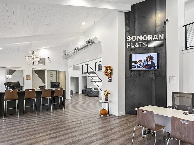 Sonoran Flats — Photo 6