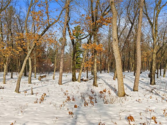 5th image of 343 Timber Trail