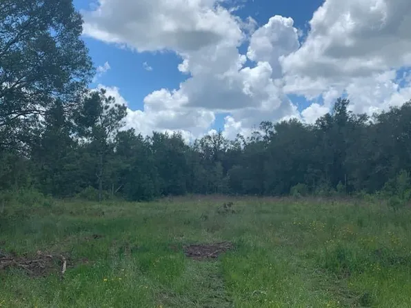  NE 664th Ave, Cross City, FL 32628