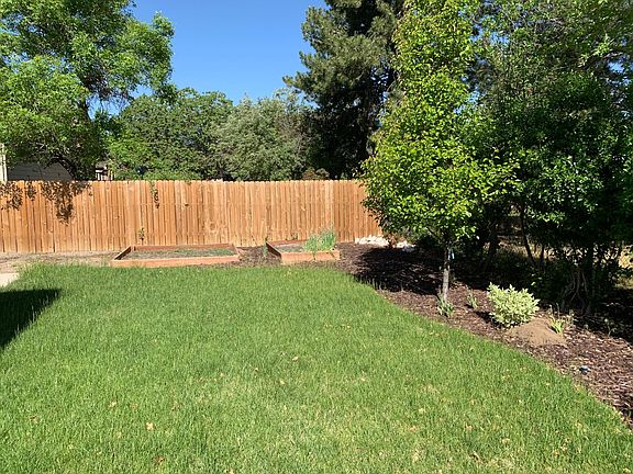 Back yard