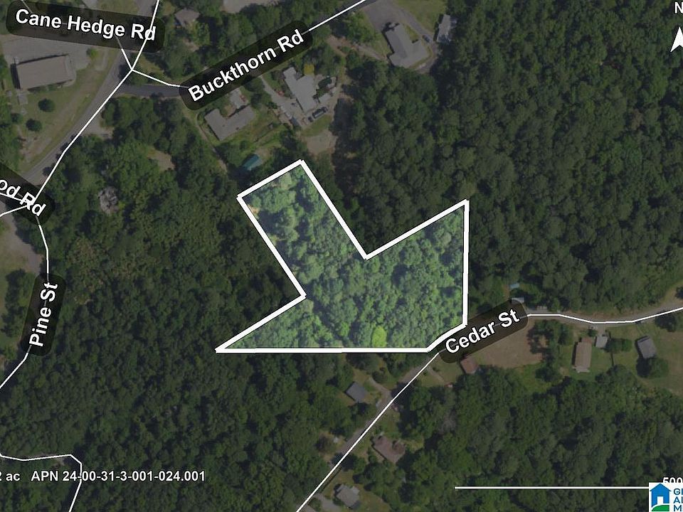2nd image of 0 Cedar St