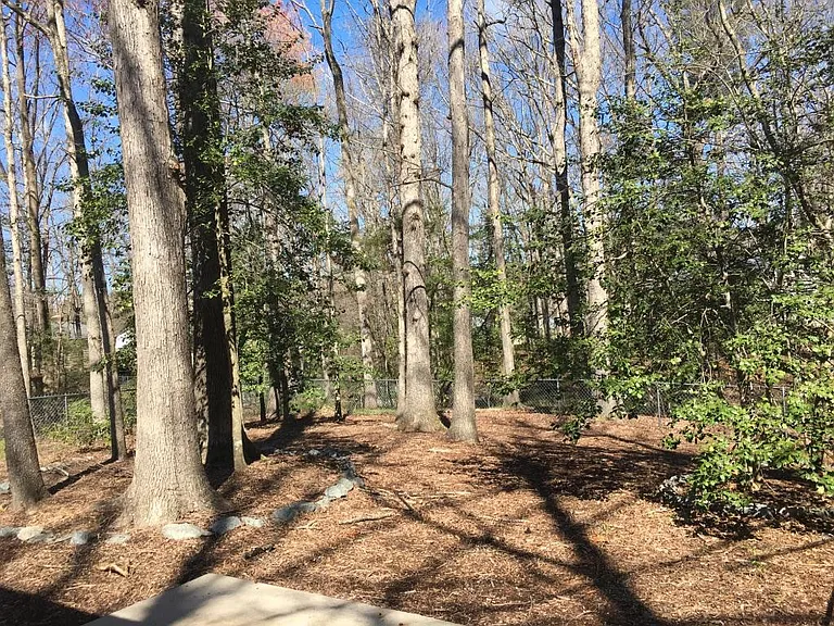 fenced in back yard