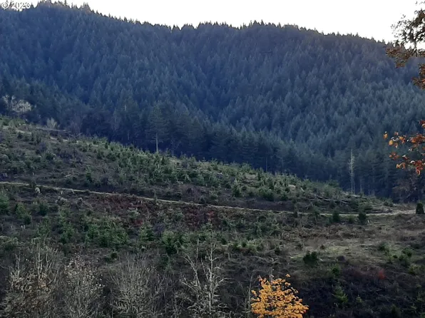 Mode Rd, Umpqua, OR 97486