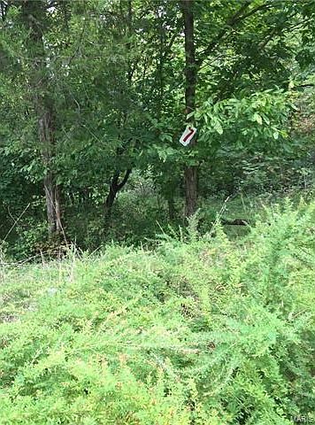 2nd image of 18609 Fox Creek Forest Dr