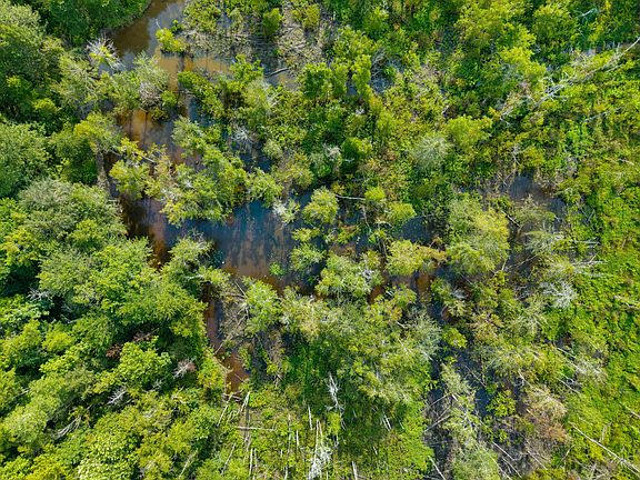 5th image of Lynn Ray Rd