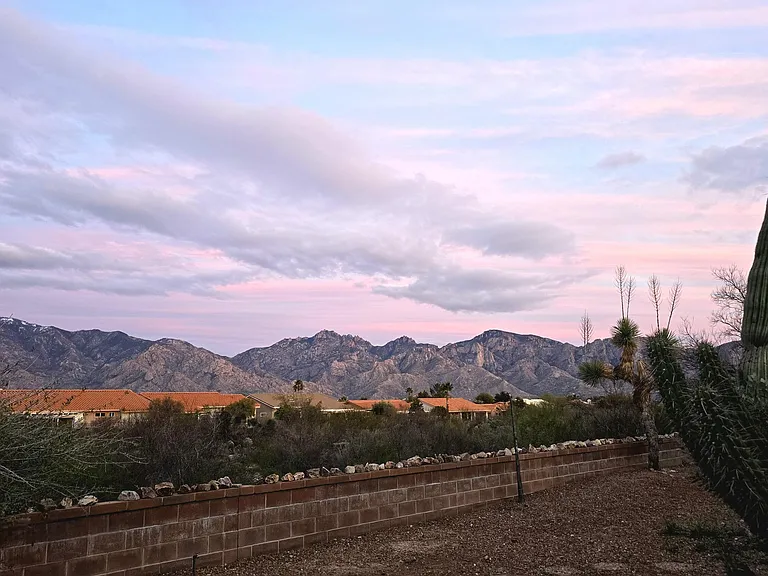 14770 N Windshade Dr — Photo 29