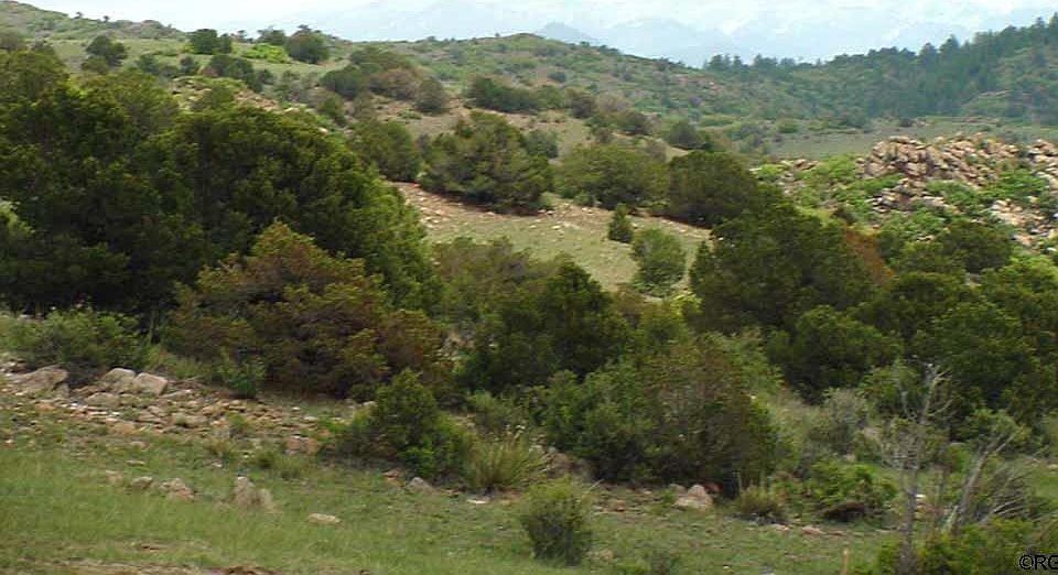 1st image of 739 County Road 10