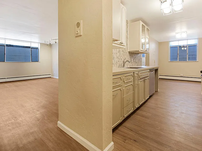 1375 N Williams St #207 — Photo 8