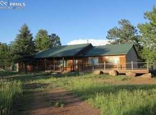 143 Ring Rd, Guffey, CO 80820