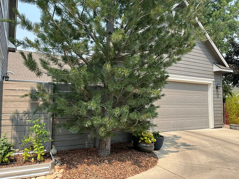 5986 N Willowdale Ln — Photo 3
