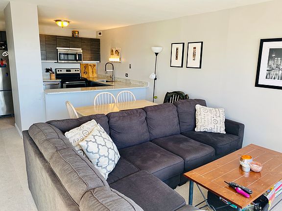 5th image of 1540 N Lasalle St #1006