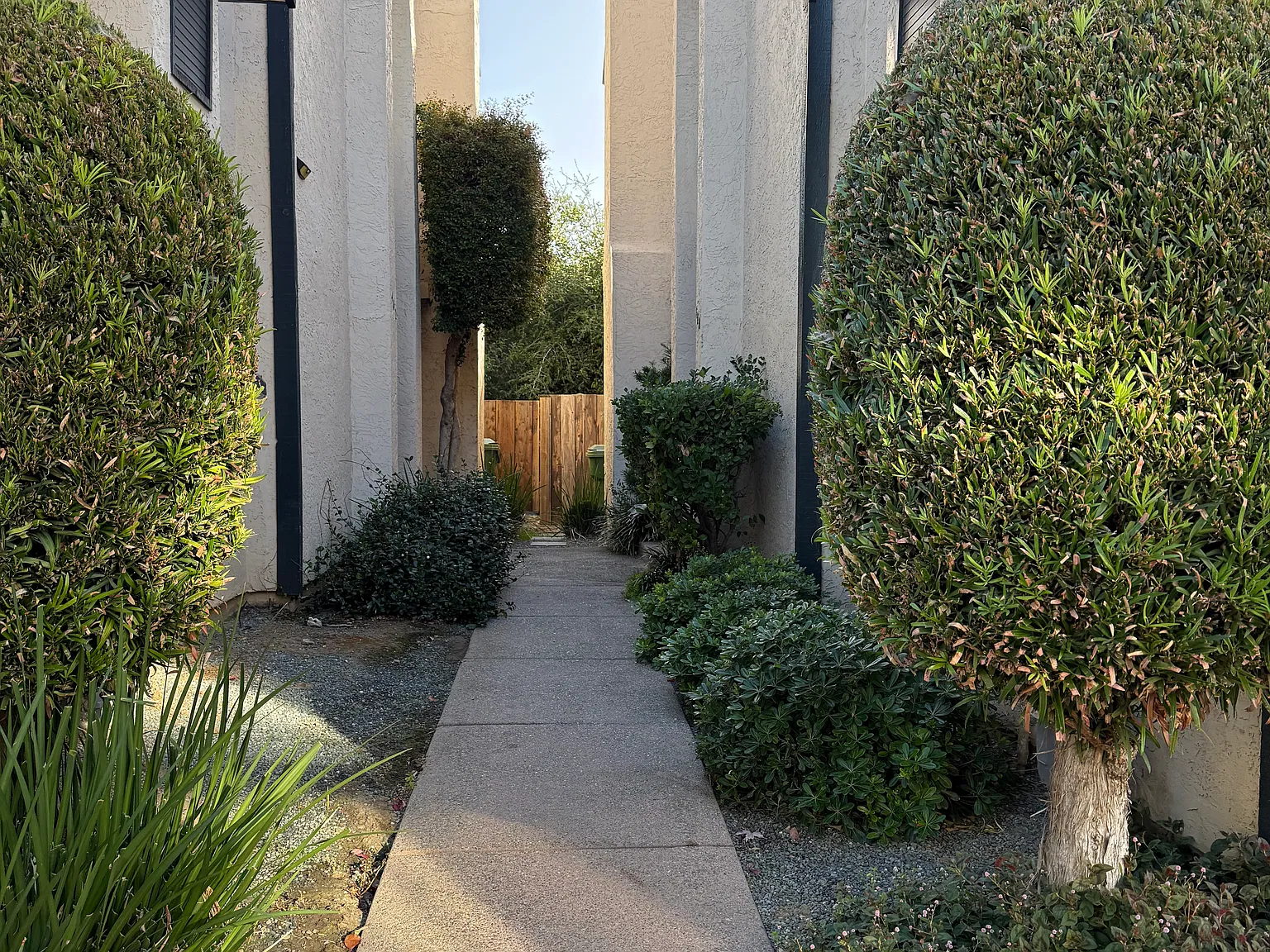 3 bed, 2.5 bath, 1405 sqft, $4,900 — Photo 2