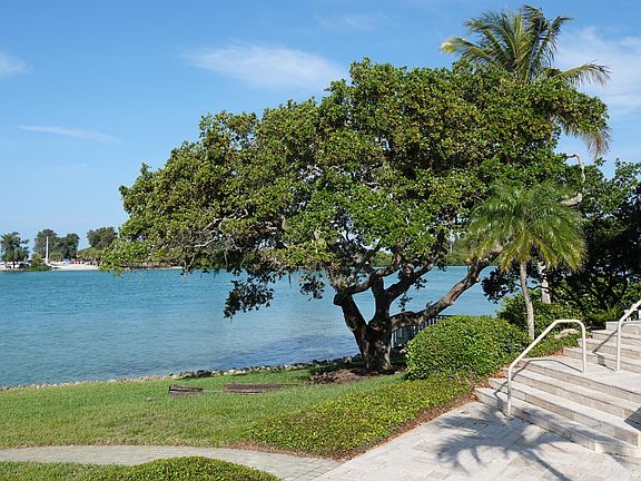 2nd image of 613 Four Bays Dr