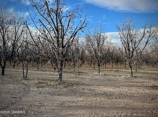 Tba Gillett Rd, Anthony, NM 88021