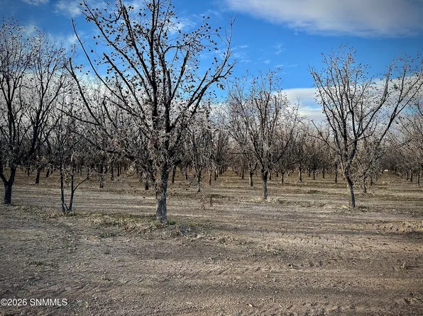 Tba Gillett Rd, Anthony, NM 88021