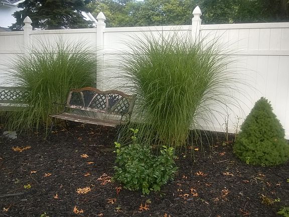 secluded areas to relax