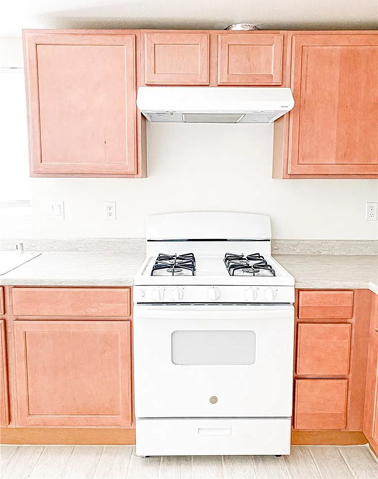 2 bed, 1000 sqft, $1,800 — Photo 3