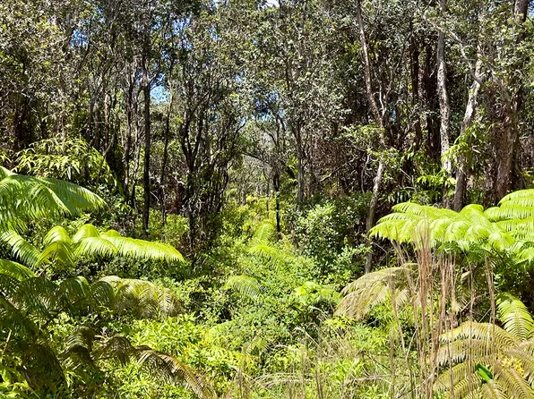 Nahelenani St Lot 53-B-529, Volcano, HI 96785