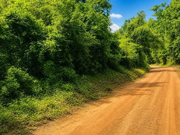 LOT 7 County Road 175, Garrison, TX 75946