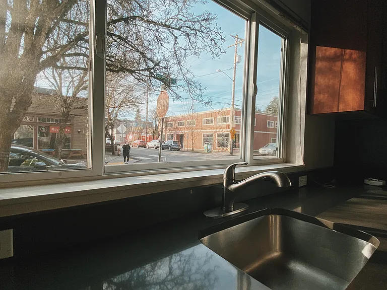 Kitchen window view