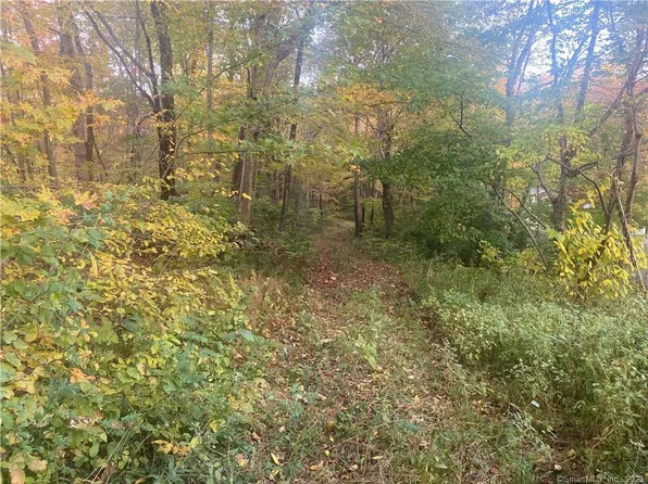 Lot 6 Midwood Farm Road, East Hampton, CT 06424