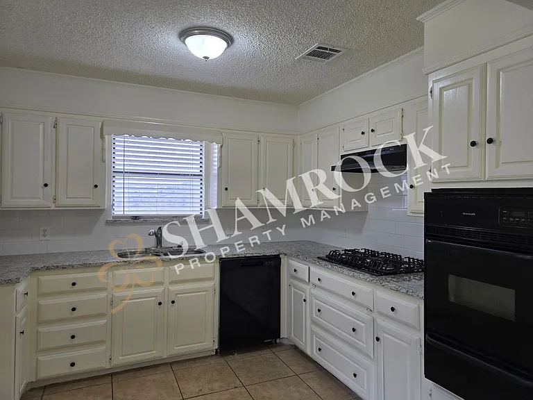 10709 Apache Dr — Photo 6
