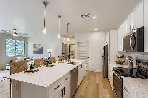 Meritum Sonoran Desert Photo 1